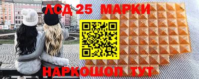 индика Рузаевка