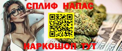 индика Рузаевка