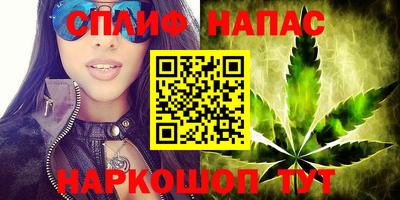 spice Рязань