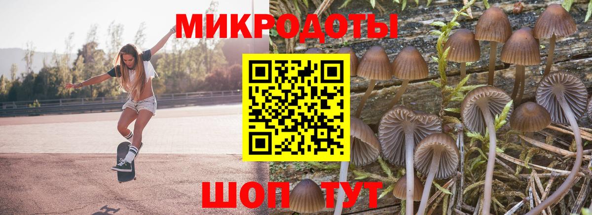 Псилоцибиновые грибы MAGIC MUSHROOMS  Вход с VPN  хочу наркоту  Саяногорск 